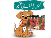 کُتوں کی طبقاتی تقسیم