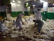 2012 سے 2023 تک 195 کاٹن ملز کا 3ارب سے زائد ٹیکس ادا نہ کرنیکا انکشاف