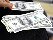 اسٹیٹ بینک کے اقدامات بے سود ڈالر ریکارڈ 104 روپے 25 پیسے کا ہوگیا 