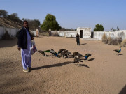 تھرپارکر میں بچوں کو تعلیم دینے کے ساتھ موروں سے محبت کرنے والا استاد