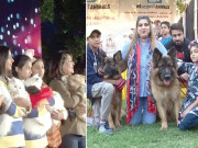 ڈیفنس میں سجے پیٹ شو میں جانوروں کے نرالے انداز