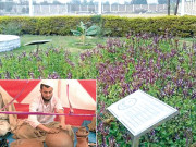 قرآن گارڈن