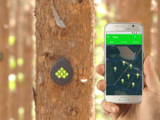 اپنی خبر خود دینے والا سینسر سے بھرپور جنگل