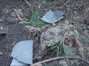 بھارت کی آئیں بائیں شائیں