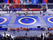 ورلڈ ریسلنگ فیڈریشن کی تمام ممالک کو بھارت سے تعلقات ختم کرنے کی ہدایت