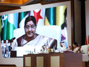 سشما سوراج کا او آئی سی میں خطاب چند سوالات