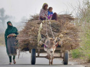 مستعد زیادہ ذمہ دار اور پُراعتماد