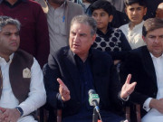 پڑوسی ممالک بغیر تحقیق پاکستان پر انگلیاں اٹھاتے ہیں شاہ محمود قریشی