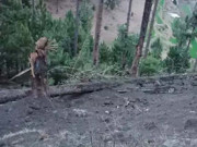 بالاکوٹ بمباری اقوام متحدہ بھارت کو ماحولیاتی دہشت گرد قرار پاکستان