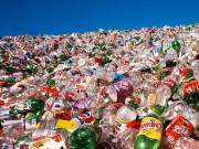 پلاسٹک مصنوعات جانوروں کی ہلاکت خیزی کا ایک سبب