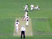 میتھیو ویڈ نے ناقابل یقین کیچ تھام کو سب کو حیران کردیا