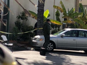 امریکا میں مسجد کو نذر آتش کرنے کی کوشش