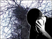 پچھتاوے کا پودا