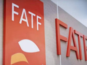 پاکستان کے fatf کی گرے لسٹ سے نکلنے کا امکان محدود