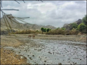 لسبیلہ میں منفرد تفریحی مقام ’’وائی‘‘