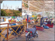 سفاری پارک میں تھیم پارک بنانے کی منصوبہ بندی