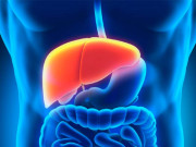 جگر کی بیماریاں احتیاط اور علاج