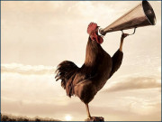 موسمی مرغے اور ان کی اذانیں