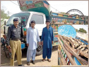 مینگروز کے درخت کاٹنے والے گروہ کے 2 کارندے گرفتار 200 من سے زائد لکڑی برآمد