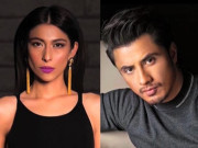 جنسی ہراسانی ہرجانہ کیس  تاخیری حربے استعمال کرنے پر میشا شفیع پر جرمانہ