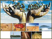 داخلہ منع ہے