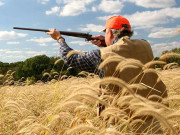 پنجاب میں غیرقانونی شکار روکنے کیلیے سزائیں بڑھانے کا فیصلہ