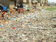 جگہ جگہ گندگی کے ڈھیر مچھروں اور مکھیوں کی یلغار  
