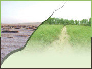 ہیلو فائٹ۔۔۔۔ بنجر زمین سونا اُگلے