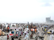 ساحلی مقامات پر رش بلو باٹل کے کاٹنے سے سیکڑوں افراد متاثر