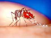 جراثیم کش اسپرے نہ ہونے سے بیماریاں پھیلنے کا خدشہ