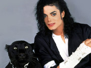 مائیکل جیکسن کے معالج ڈاکٹر نہیں گدھ تھے