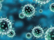 مہلک بیماریوں سے بچاؤکے لیے آگہی مہم کی ضرورت