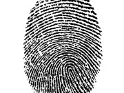 کراچی 2 حلقوں میں ووٹوں کی تصدیق انگوٹھوں کے نشانات سے ہوگی 