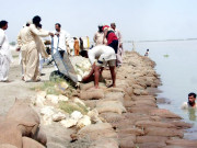 بھارت نے مزید پانی چھوڑ دیا درجنوں دیہات زیر آب 6 افراد ہلاک