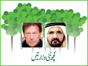 کچھ نئی وزارتیں