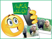 یہ لوگ سیلفی بناکر کمال کرتے ہیں