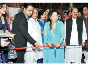 شبستان اور پرنس بھی سنی پلیکس بن گئے