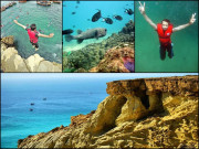 جل پریوں کے دیس میں