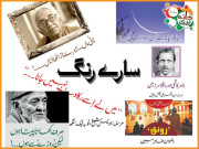 سارے رنگ