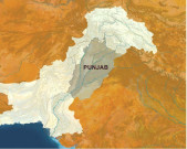 پنجاب خالی اسامیوں پر سرکاری ملازمین کے کوٹے کیلیے شرائط میں نرمی   