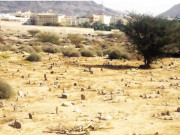 یوم الفُرقان