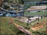 سوات پھر سے ’’دہشت گردی‘‘ کی لپیٹ میں