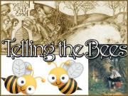 نہایت دل کش رواج شہد کی مکھیوں سے سرگوشیاں