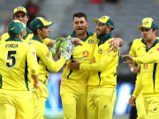 ورلڈ کپ کا سفر 2015 میں کینگروز پانچویں مرتبہ عالمی چیمپئن بن گئے