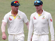 اسمتھ اوروارنرپرفقرے بازی نہ کریں کوچ کی انگلش شائقین سے درخواست