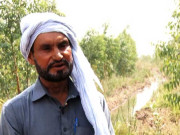 درختوں کی اپنے بچوں کی طرح دیکھ بھال کرنے والے لوگ