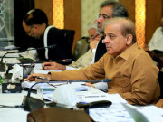 ن لیگ کا بجٹ پر اپوزیشن سے مل کر سخت مؤقف اختیار کرنے کا فیصلہ