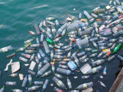 پلاسٹک کے انسانی جسم پر مضر اثرات