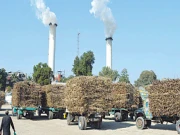 شوگر ملز نہ چلانے کیخلاف درخواست پر سماعت، سیکریٹری زراعت اور کین کمشنر طلب