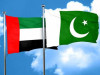 متحدہ عرب امارات سے پاکستانیوں کو نکالا جانے لگا